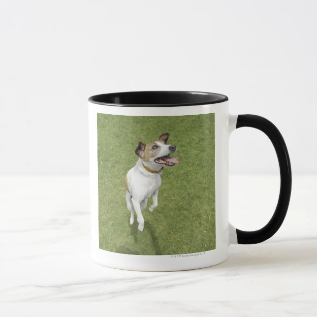 Mug Terrier de Jack Russell sautant, vue élevée (Droite)
