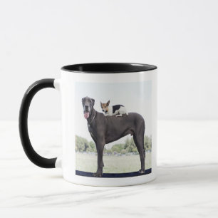 Mug Terrier de Russell sur le dos de great dane