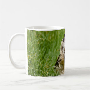 Mug Terrier Yorkshire mignon Traversant L'Herbe