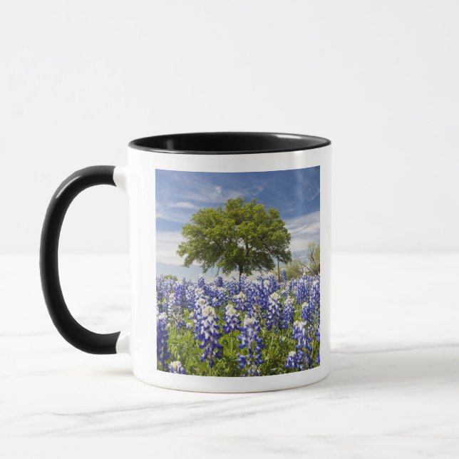 Mug Texas bluebonnets (lupinus texensis) et chêne (Gauche)