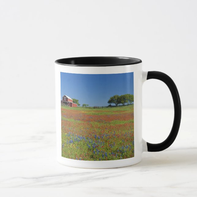 Mug Texas, Texas Hill Country, Castilleja indivisa (Droite)