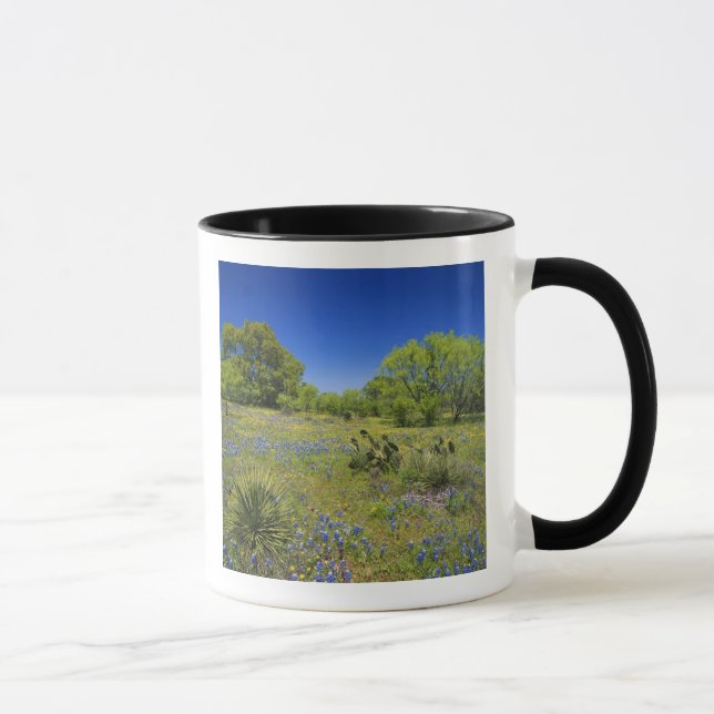 Mug Texas, Texas Hill Country, Low bladderpod, (Droite)