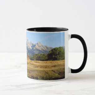 Mug Thomas A. Moulton Barn