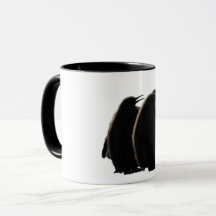 Three fluffy and cute Baby Pingouins