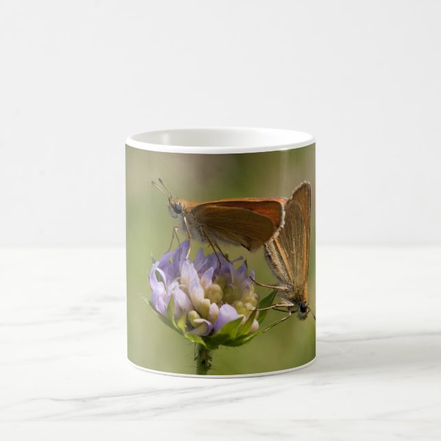 Mug Thymelicus lineola (Centre)