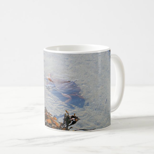 Mug Tidepool at Sand Beach (Devant droit)