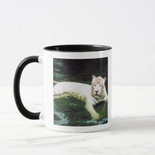 Mug Tigre blanc nageant paisiblement