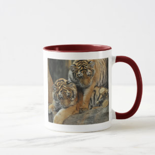 Mug Tigre CUB d'Amur