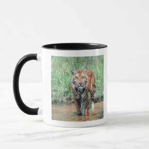 Mug Tigre dans l'eau