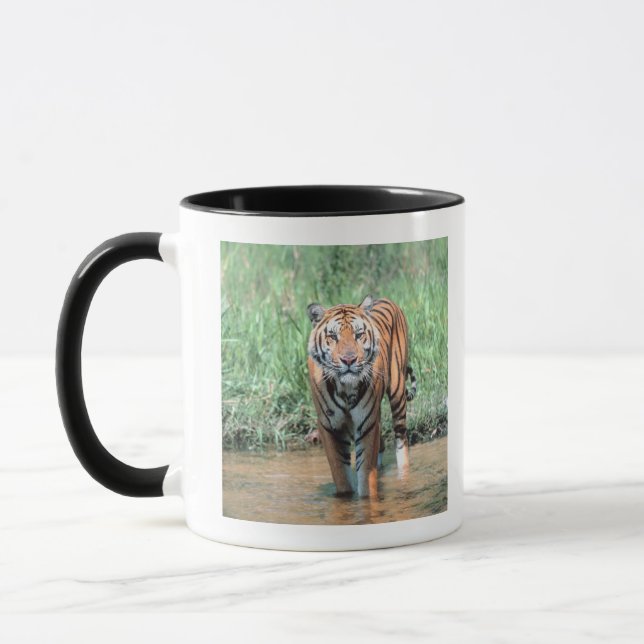 Mug Tigre dans l'eau (Gauche)