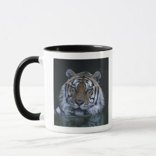 Mug Tigre dans l'eau