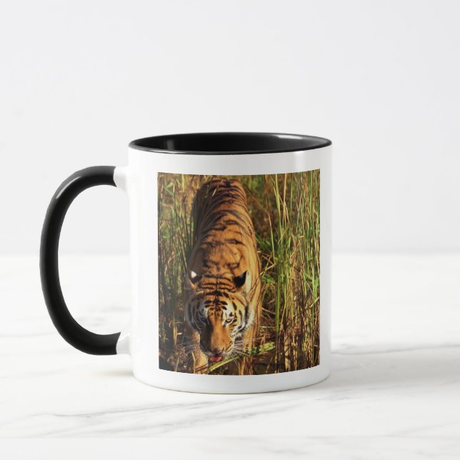 Mug Tigre de Bengale dans les marécages (Gauche)