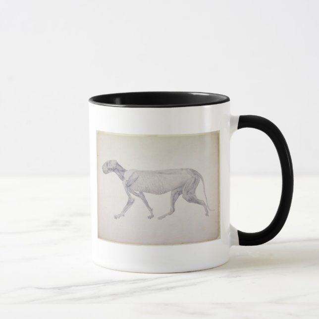 Mug Tigre de George Stubbs | : Vue latérale, (Droite)