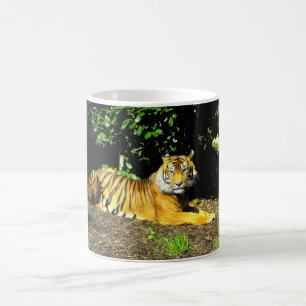 Mug Tigre de Sumatra