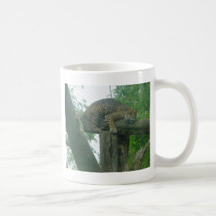Mug Tigre dormant dans l'arbre, la forêt, la nature,