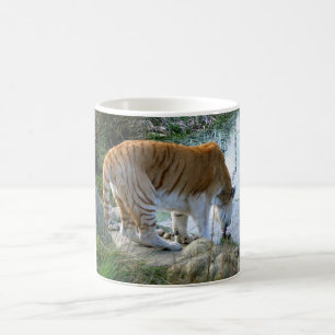 Mug Tigre indien animal