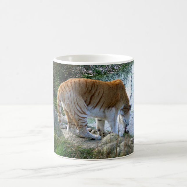 Mug Tigre indien animal (Centre)