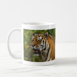 Mug Tigre Montrant Ses Dents