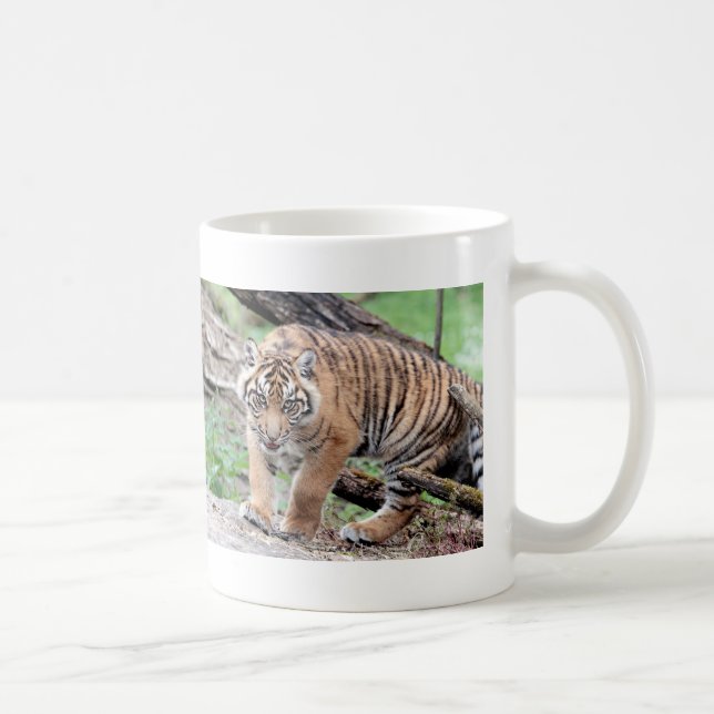 Mug Tigre photo, chat. (Droite)