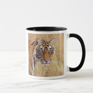 Mug Tigre royal du Bengale