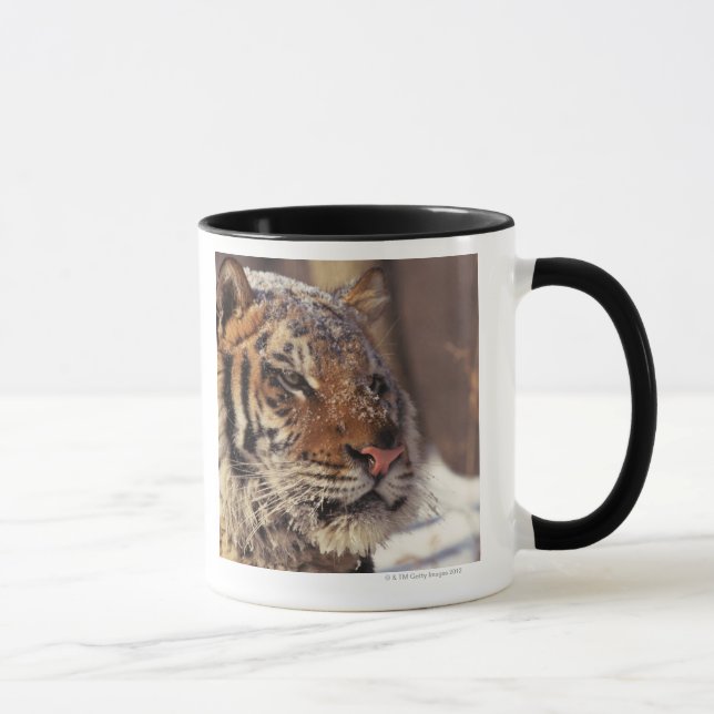Mug Tigre sibérien (Droite)