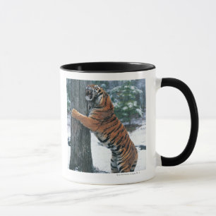 Mug Tigre sibérien (altaica du Tigre de Panthera)