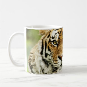 Mug Tigre Sibérien Rare : En danger de repos