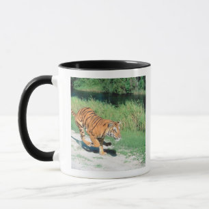 Mug Tigre sur le chemin