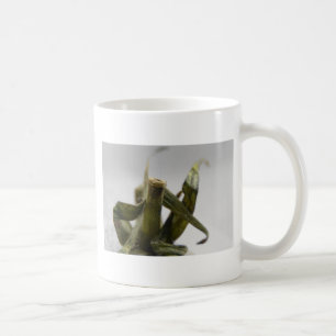 Mug Tomate