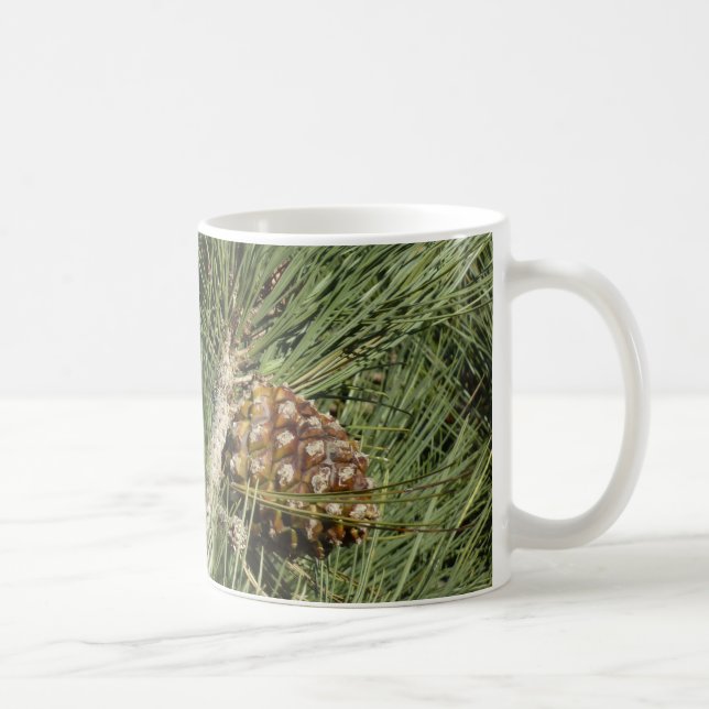 Mug Torrey Pine Closeup California Botanical (Droite)