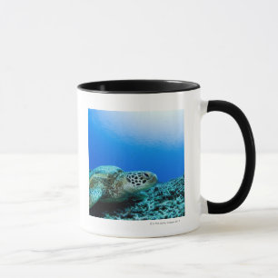 Mug Tortue de mer se reposant sous l'eau