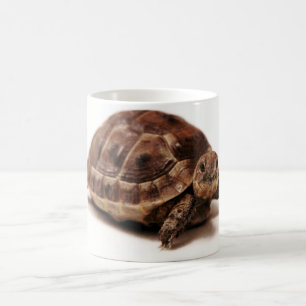 Mug Tortue de repos