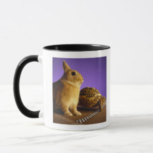 Mug Tortue et les lièvres
