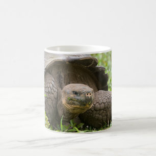 Mug Tortue géante