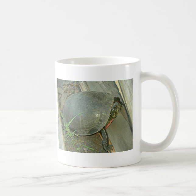 Mug Tortue peinte (Chrysemys picta) (Droite)