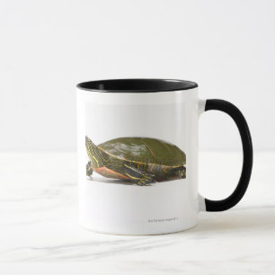 Mug Tortue peinte occidentale (bellii de picta de