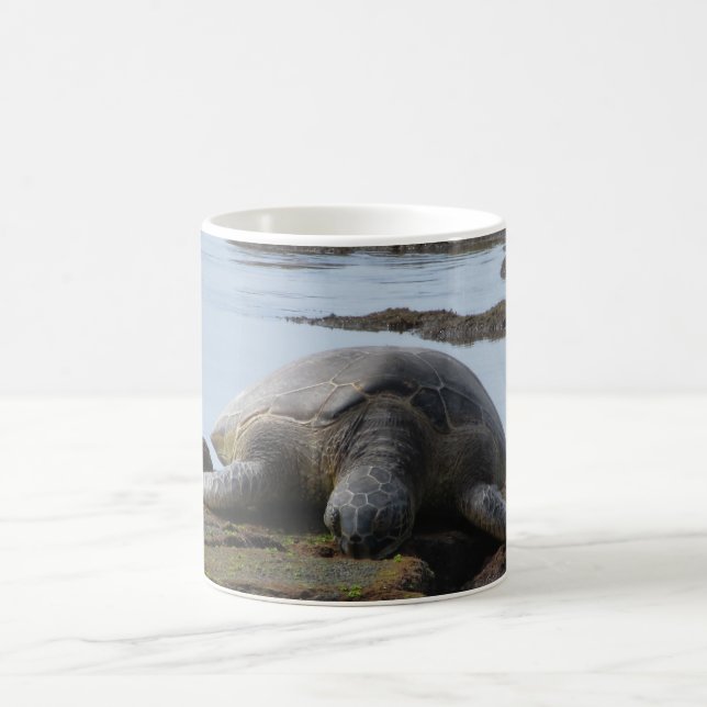 Mug Tortue se reposant sur les roches (Centre)