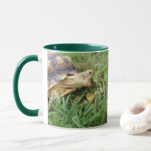Mug Tortue Sulcata, bouche ouverte, pâturage en herbe