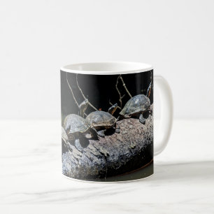 Mug Tortues au Parc national de Tortuguero - Costa Ric