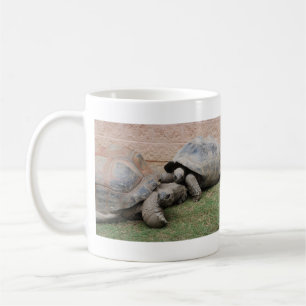 Mug tortues géantes