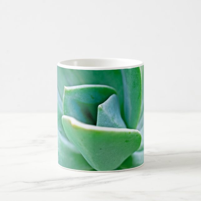 Mug Tourbillon Succulent (Centre)