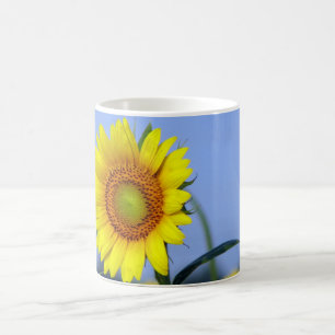 Mug Tournesol