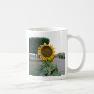 Mug Tournesol