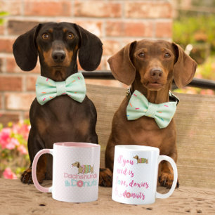 Mug Tout ce dont vous avez besoin est amour dachshund