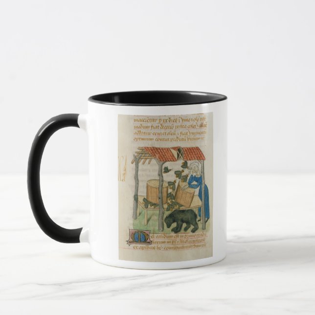 Mug Tractatus de Herbis' (Gauche)