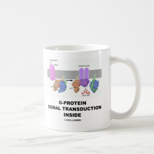 Mug Transduction de signal de G-Protéine à l'intéri