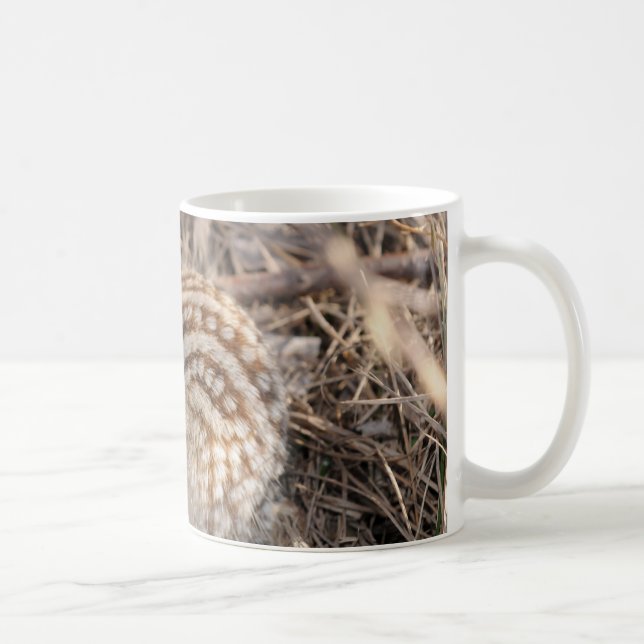 Mug Treize ont rayé l'écureuil moulu (Droite)