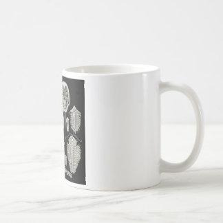 Mug Trilobite !
