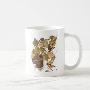 Mug Trio de Baltimore Oriole d'Audubon