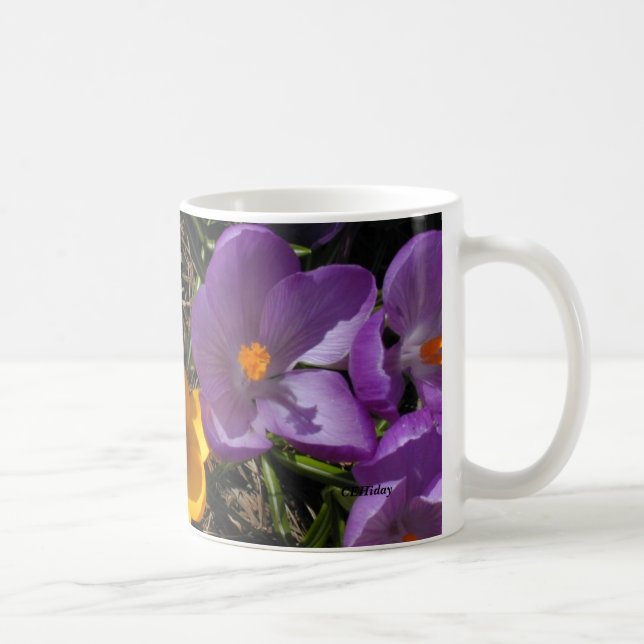 Mug Trio de crocus, CEHiday (Droite)